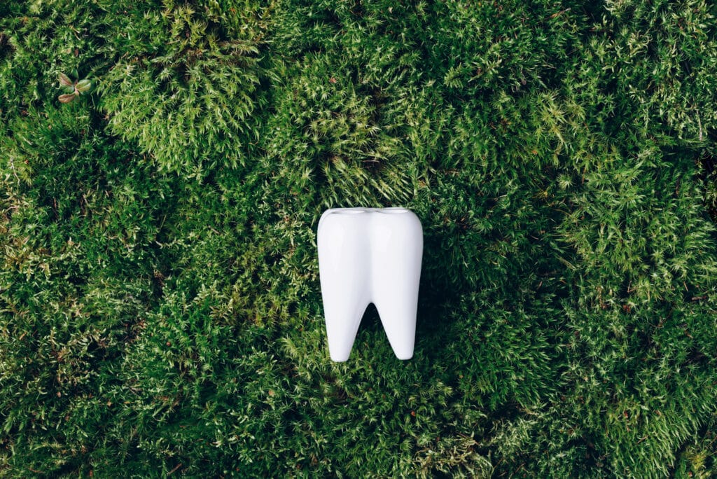 Holistic Dentist Franklin